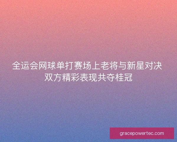 全运会网球单打赛场上老将与新星对决 双方精彩表现共夺桂冠