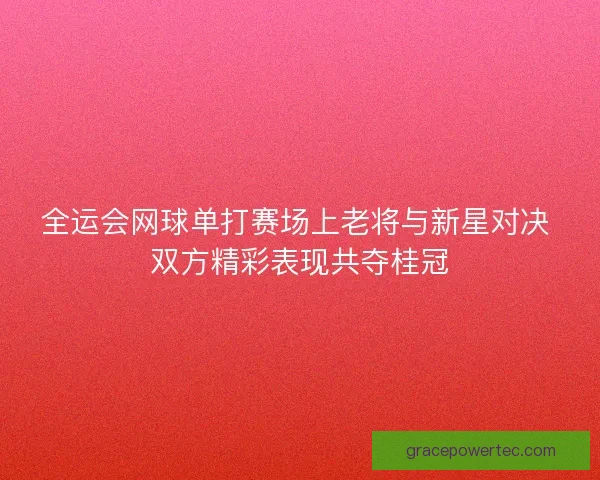全运会网球单打赛场上老将与新星对决 双方精彩表现共夺桂冠